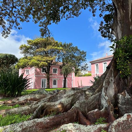 Solar Dos Cantos Botanic House & Garden Ponta Delgada Exterior foto