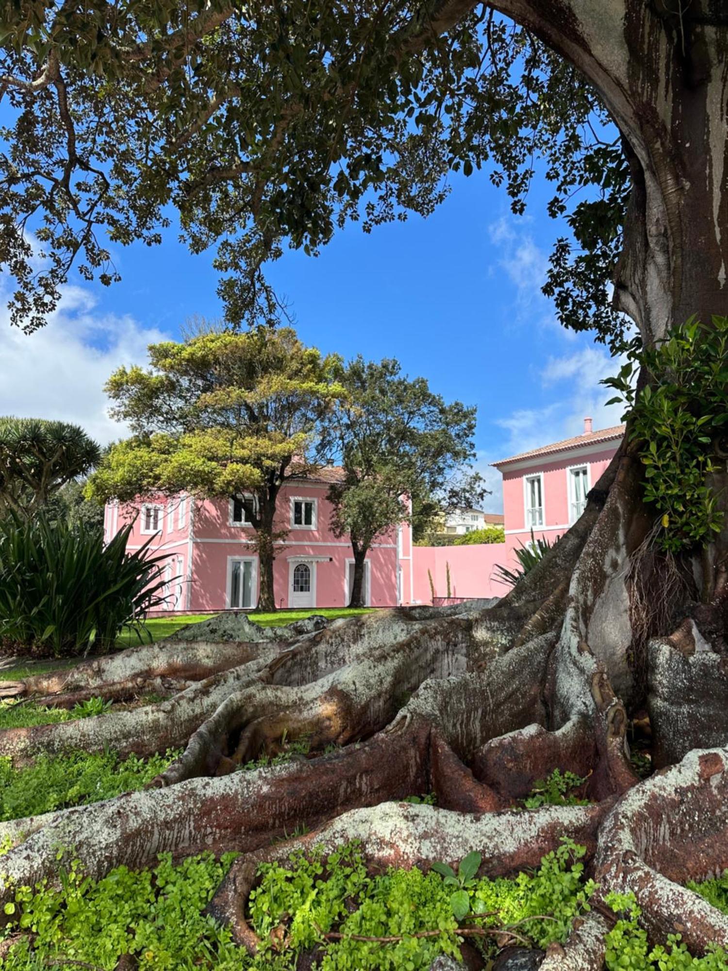 Solar Dos Cantos Botanic House & Garden Ponta Delgada Exterior foto
